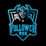 Follower 666 apk